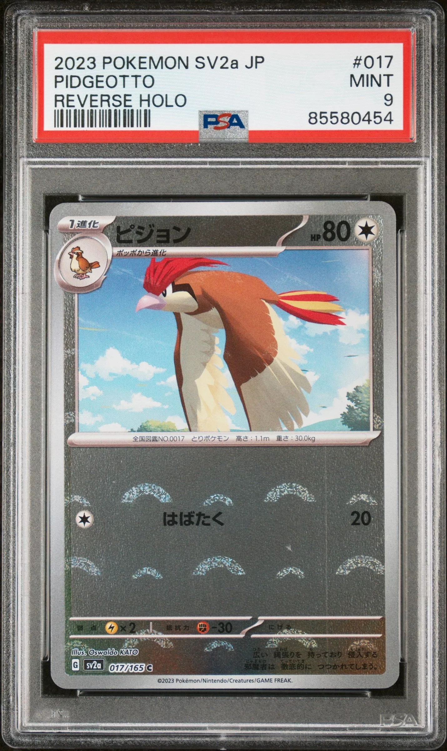 2023 POKEMON JAPANESE SV2a-POKEMON 151 PIDGEOTTO #17 – PSA MINT 9