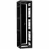 Lowell LGVR-4436 Rack-Gangable-Video-44U 36in Deep Rails Rear Door BlackWrite a Review