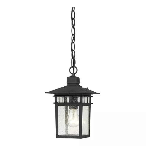 Satco 60-4956, COVE NECK 1 LGT OUTDOOR HANG, 12" Outdoor Hanging Lighting Fixture, 100W, 120V, Medium Base, Clear Seed Glass, Textured Black Finish