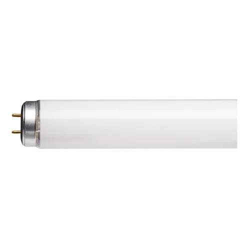 Satco S26571, F30T12/CW 36 Inch T12 Fluorescent, 30W, 4100K Cool White, 1900 Lumens, Medium Bi Pin Base, White Finish