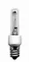 Ushio 1000978 JCV120V-40WGSN/INC CC-8 2000 hWrite a Review